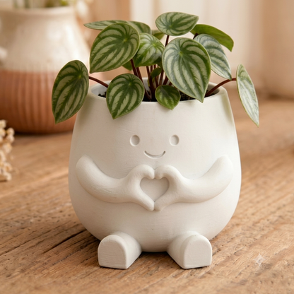 Heart planter